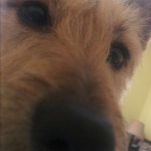 Meet your Posher, Carly